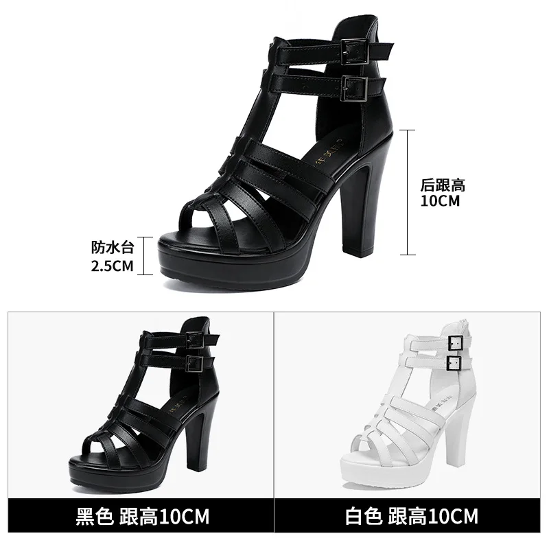 Gladiator Ladies Shoe for Wome - Women'S Shoes Quality review and price